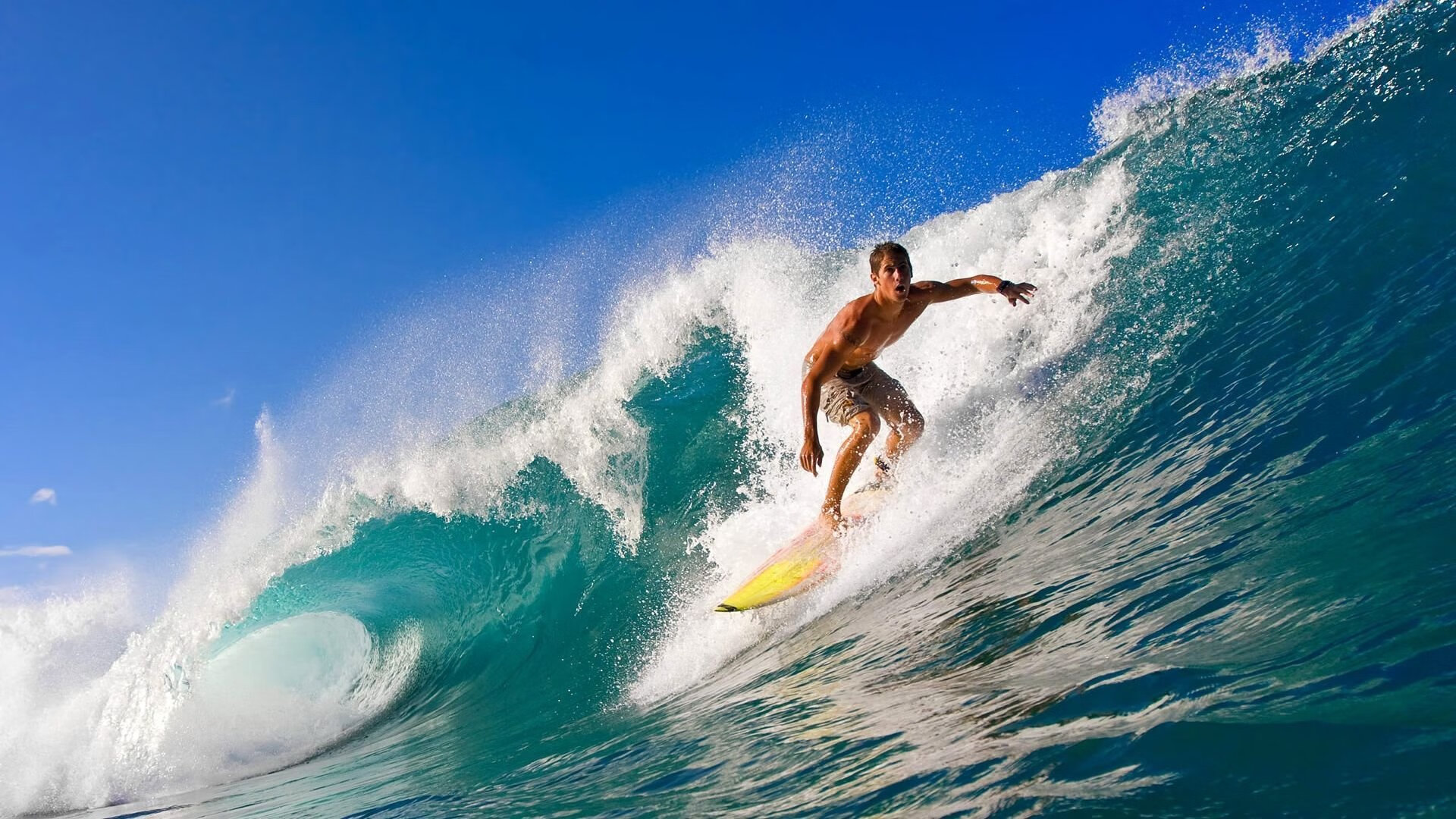 篮球专项技能训练中的动作细节规范，篮球技术动作要领和要求